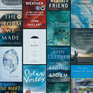 Good Books are in the Forecast graphic of book covers